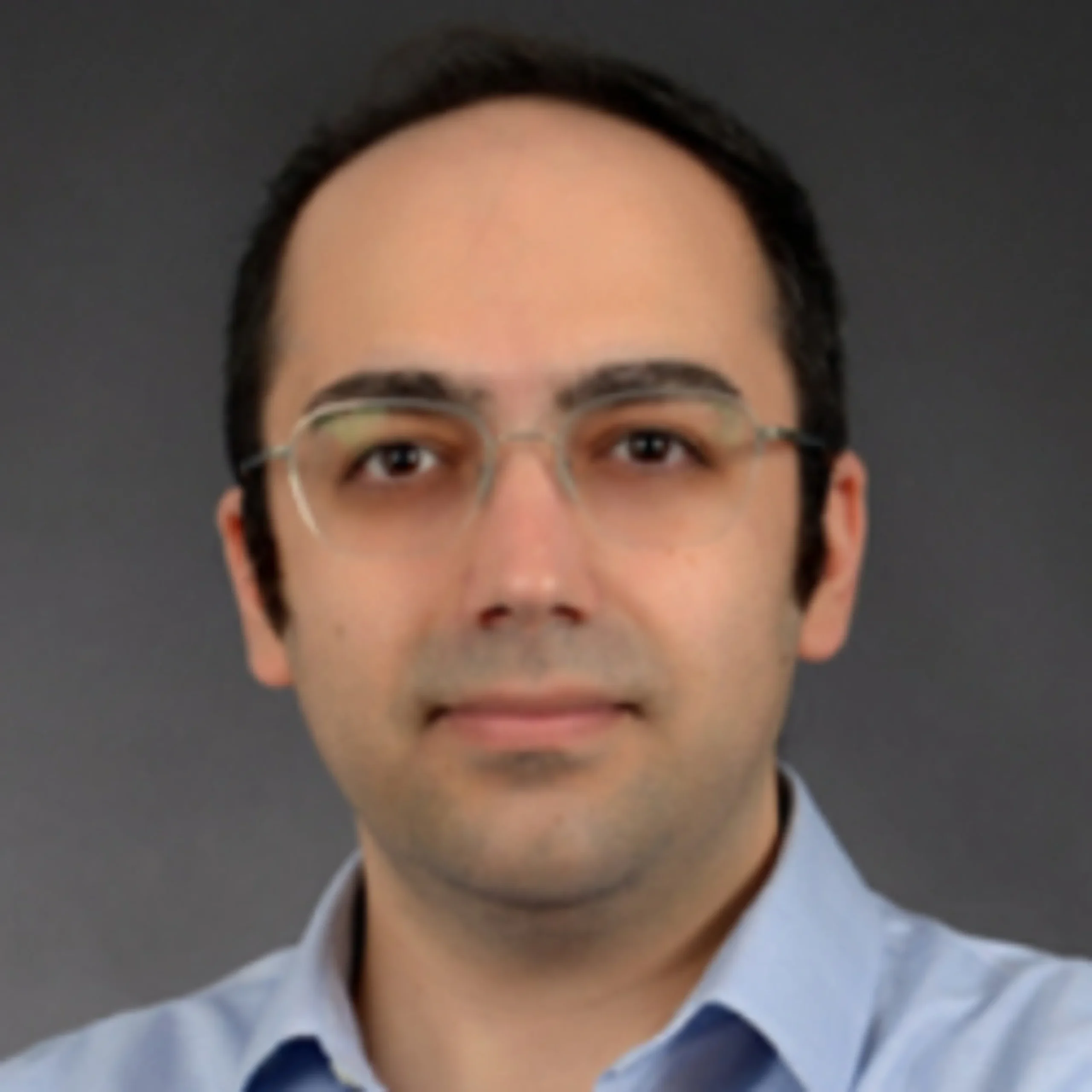 Professor Mohammad Pirani